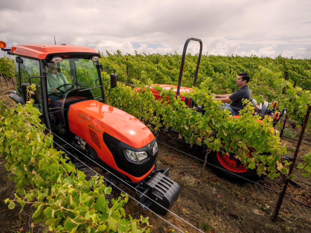 Kubota M4N-071 narrow specialty tractor in a vineyard at Union Farm Equipment